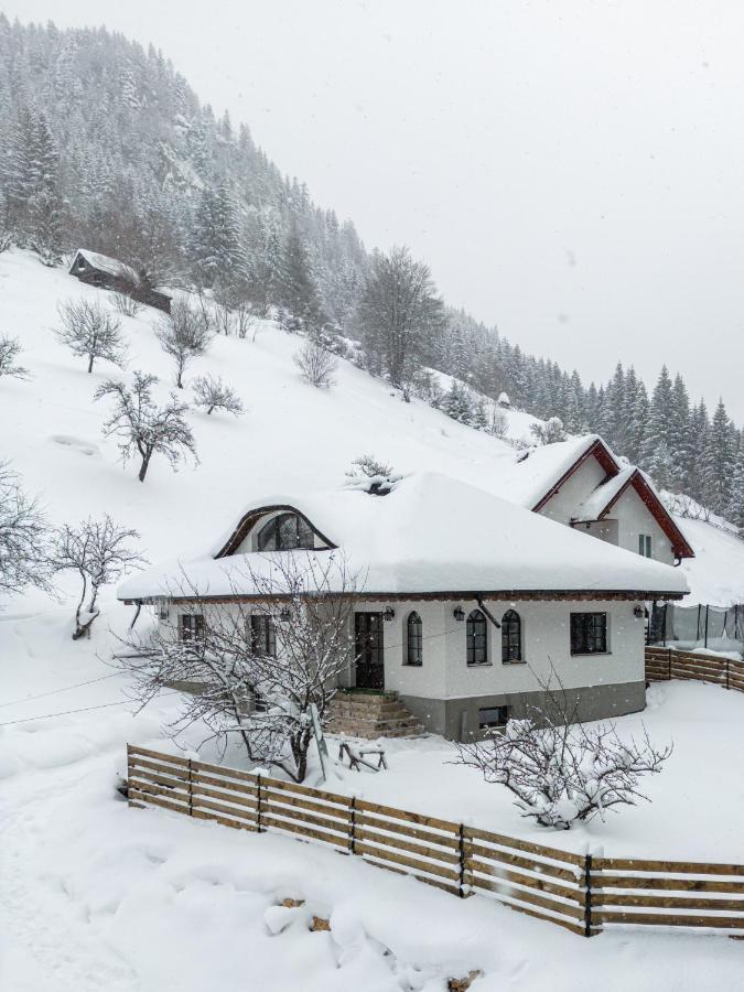 Casa Sena Villa Moeciu De Sus Luaran gambar